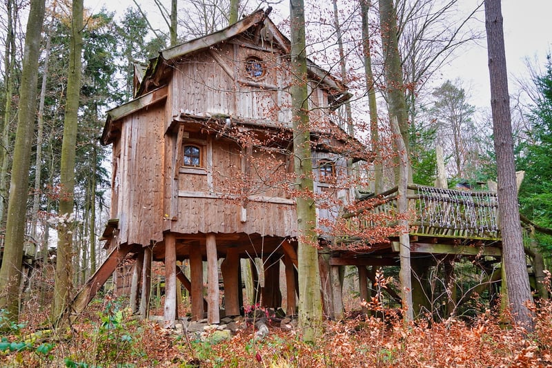 Treehouse Hotel